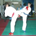 Alessandro