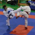 Federico 2
