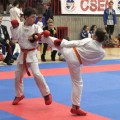 Riccardo Roberta-kumite