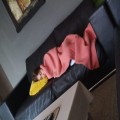 Micol