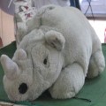 Rino